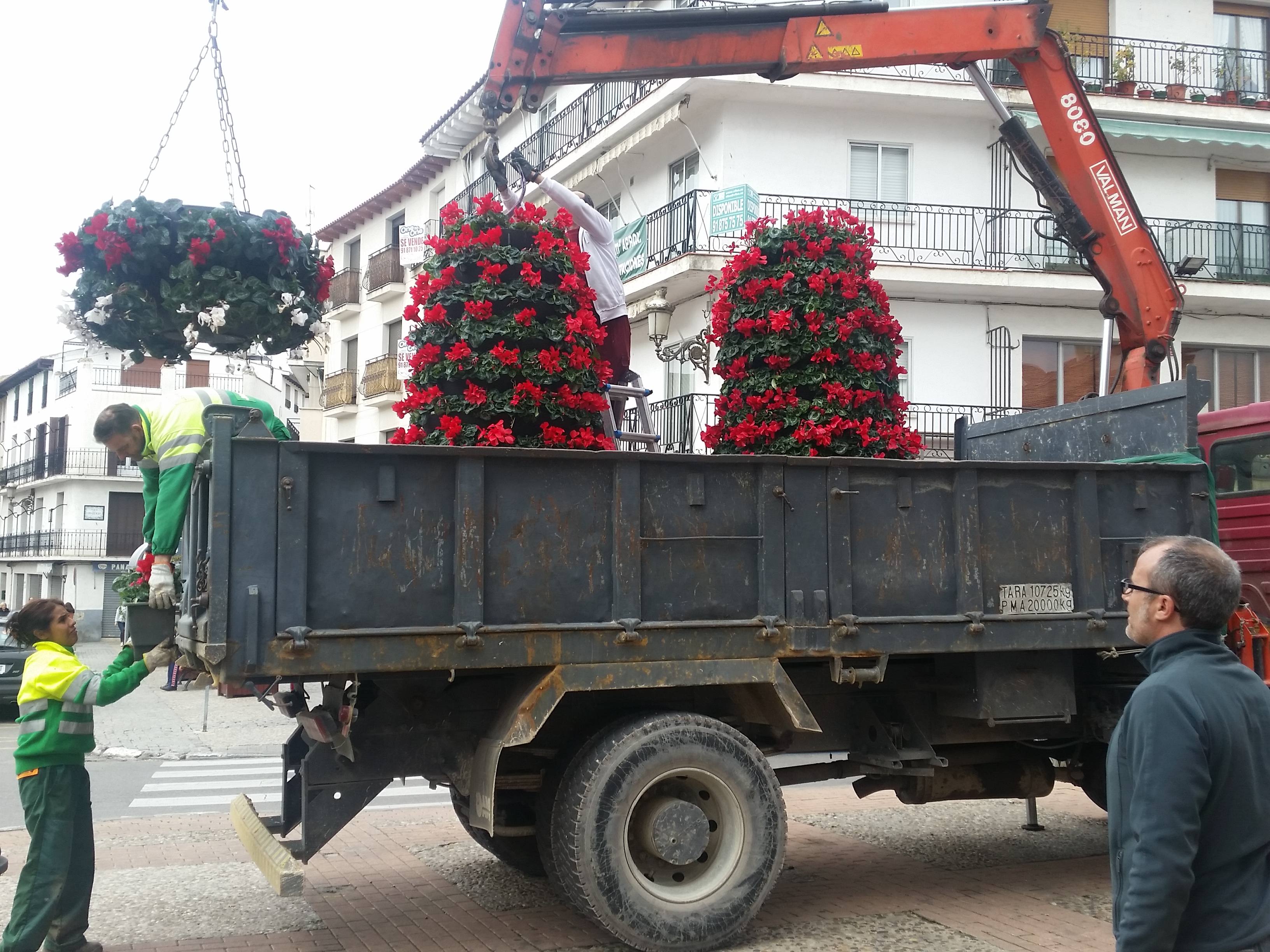 adorno-floral