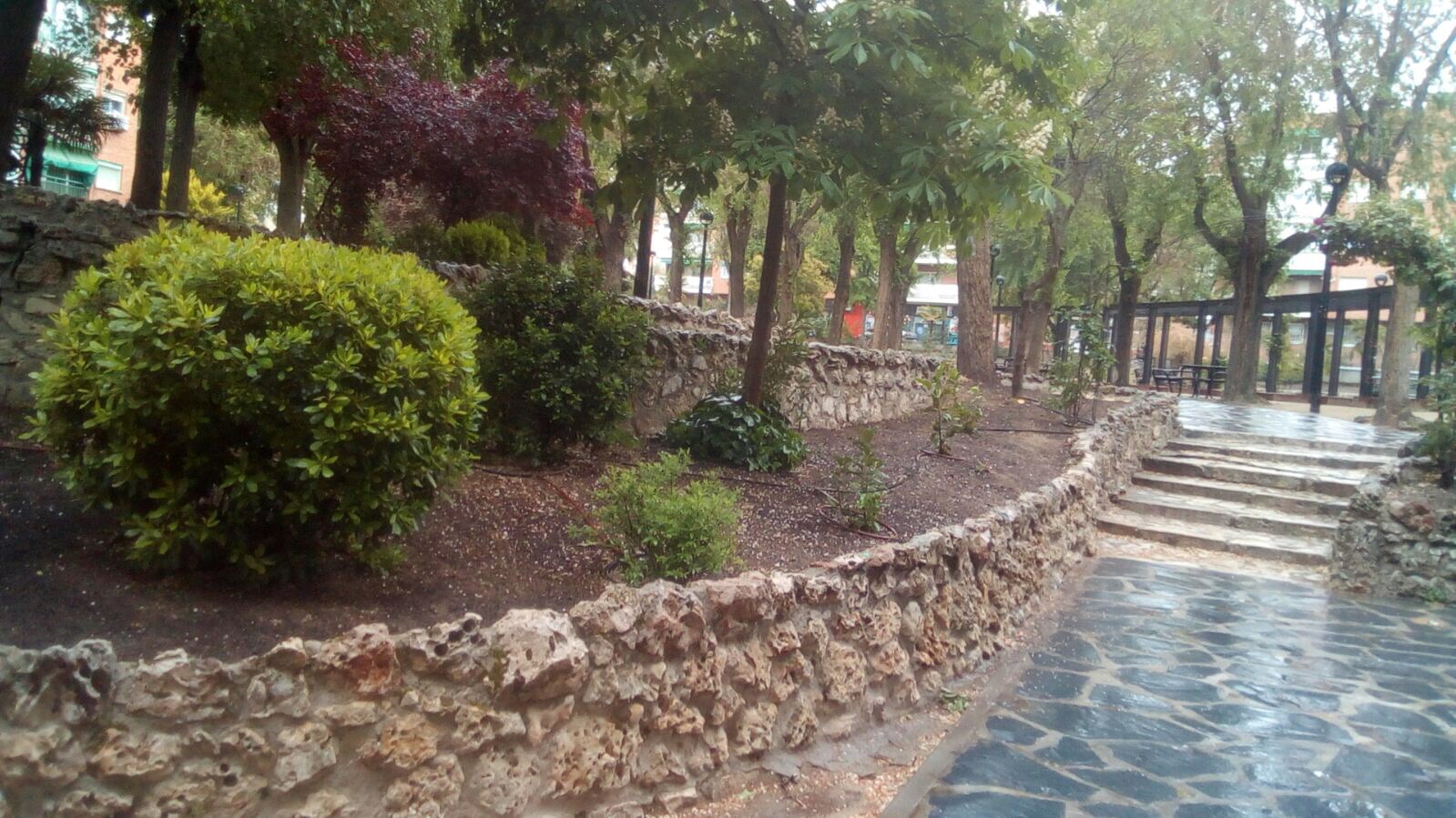 PARQUE GONZALEZ BUENO 2